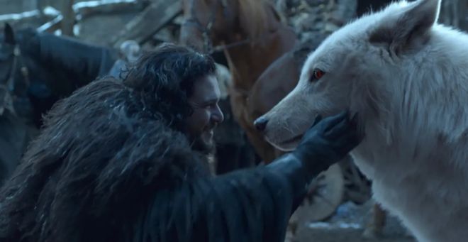 世界首次！喬治·丘奇團隊“復活”已滅絕一萬多年的“冰原狼”計劃2028年復活猛犸象(圖1)