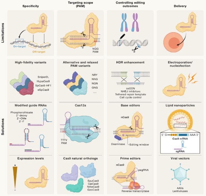 Cell｜CRISPR基因編輯技術(shù)的過(guò)去、現(xiàn)在和未來(lái)(圖3)