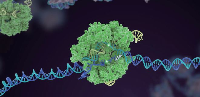 押寶CRISPR和人工智能！張澤民院士團(tuán)隊(duì)的研究方向開始更新了！(圖2)