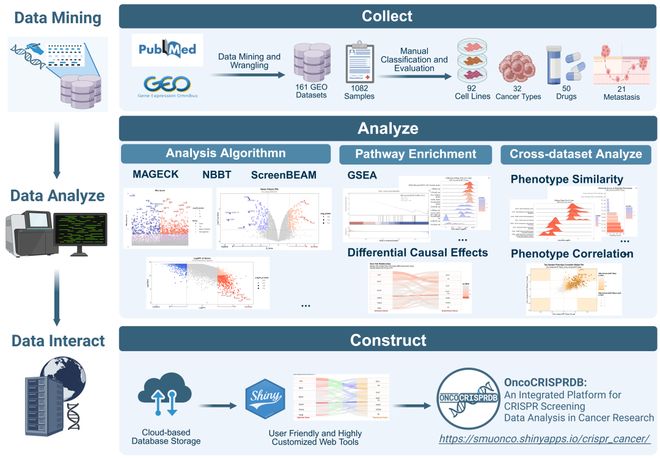 腫瘤CRISPRScreen在線平臺！重磅推薦！(圖3)
